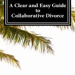 Divorce & Separation Guide Kindle Edition 102‑Page eBook-0