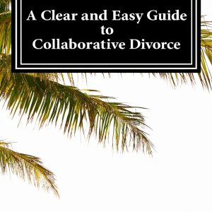 Divorce & Separation Guide Kindle Edition 102‑Page eBook-0