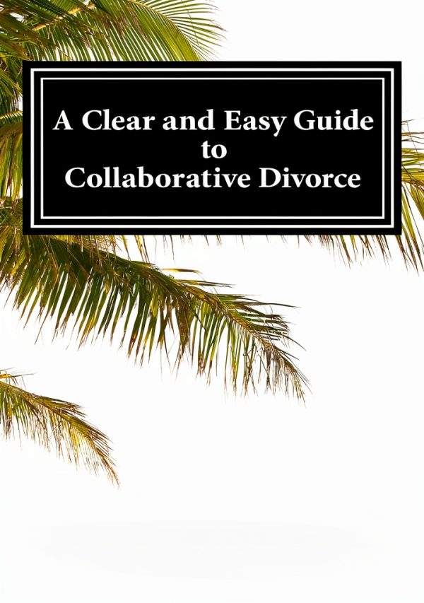 Divorce & Separation Guide Kindle Edition 102‑Page eBook-0
