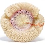 Heating Mantle 254 Soft Inverted 2 Pack by American Mantle Company-0