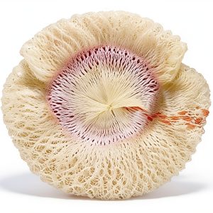 Heating Mantle 254 Soft Inverted 2 Pack by American Mantle Company-0
