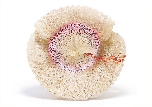 Heating Mantle 254 Soft Inverted 2-Pack by American Mantle Company-0